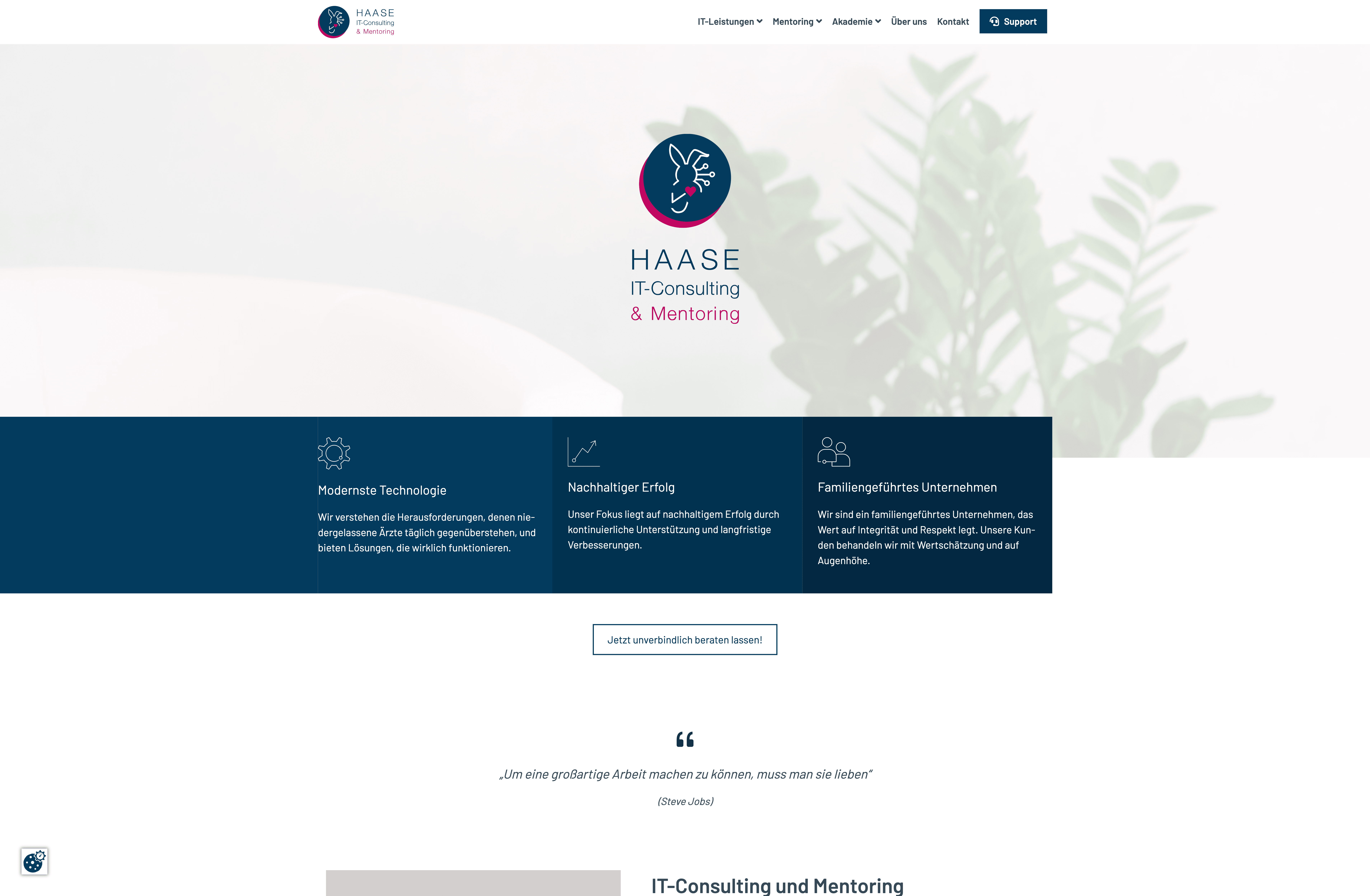 Projekt Haase IT Screenshot Website